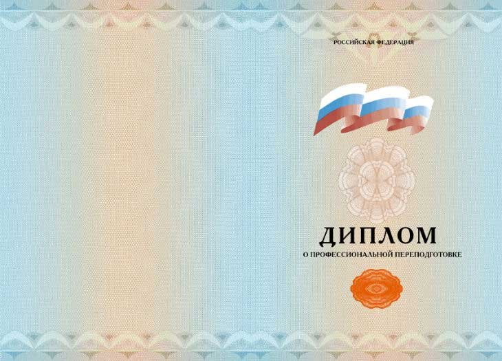 Диплом о переподготовке 2013 года 