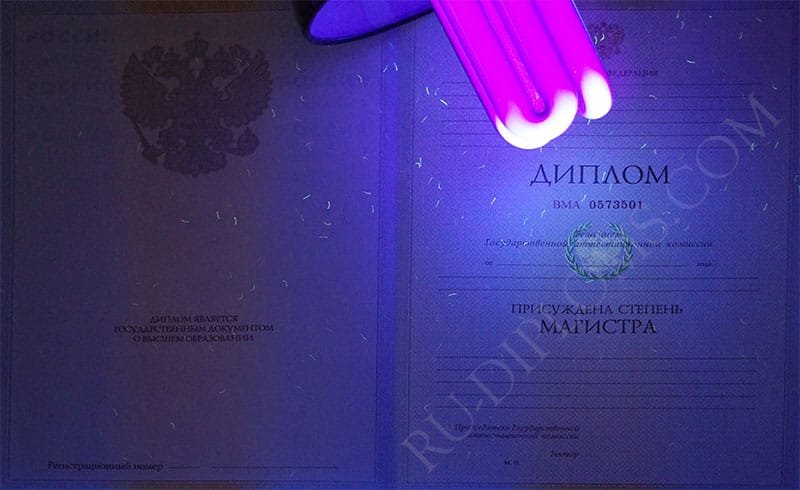 Диплом магистра 2004-2009 год 